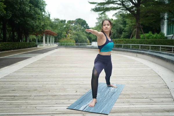 Young Sporty Attractive Woman Practicing Yoga Doing Yoga Exercise Friend — Stockfoto