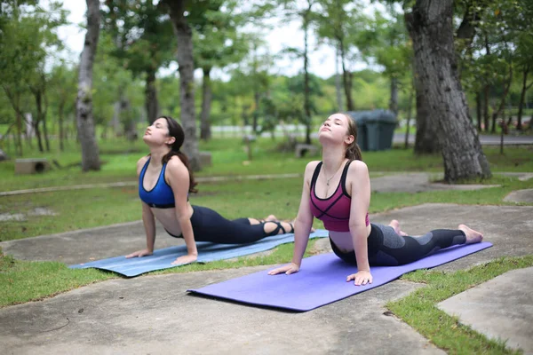 Young sporty attractive woman practicing yoga, doing yoga exercise with friend, yoga pose, working out, wearing sportswear, pants and top, outdoor full length