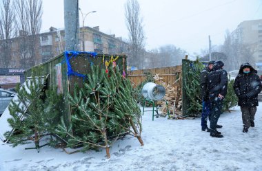 Yeni yıl için hazırlanıyorum. Pines and Spruces açık hava tezgahında satılık, insanlar etrafta dolaşıyor. 22 Aralık 2020. Kyiv, Ukrayna