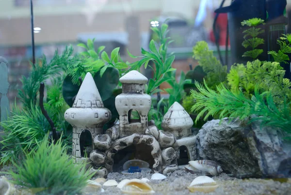 Hodowla akwariów. Dekoracje i rośliny ułożone w akwarium wypełnionym wodą — Zdjęcie stockowe