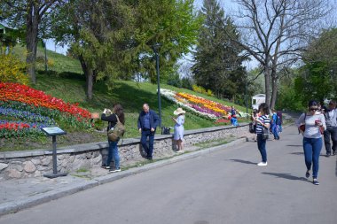 Ziyaretçiler yürür ve çimlere dikilmiş parlak lalelere bakarlar