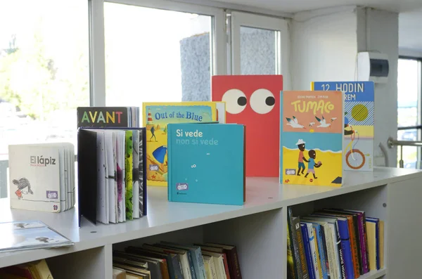 Книги Детей Положенные Полку Публичной Библиотеке Января 2020 Года Остров — стоковое фото