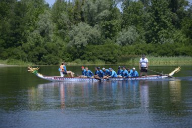 Kürekçiler nehirde ejderha teknesiyle kürek çekiyor. Amatörler arasında Kiev Oblast şampiyonası. 25 Mayıs 2019. Kiev, Ukrayna
