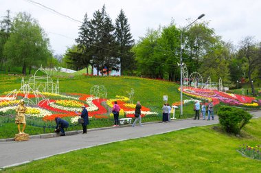 Şehir parkında yürüyen ve çimlere dikilmiş parlak lalelere bakan insanlar. Dünyanın dört bir yanındaki laleler festivalinin açılışı, Şarkı Söyleyen Saha Parkı. 27 Nisan 2018. Kiev, Ukrayna