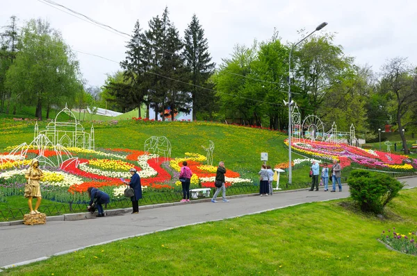 Şehir parkında yürüyen ve çimlere dikilmiş parlak lalelere bakan insanlar. Dünyanın dört bir yanındaki laleler festivalinin açılışı, Şarkı Söyleyen Saha Parkı. 27 Nisan 2018. Kiev, Ukrayna