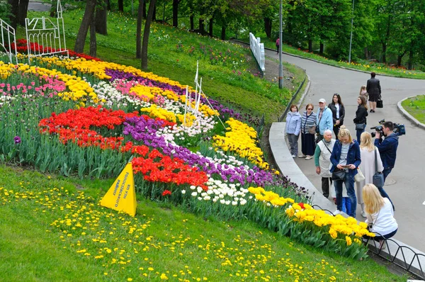 Şehir parkında yürüyen ve çimlere dikilmiş parlak lalelere bakan insanlar. Dünyanın dört bir yanındaki laleler festivalinin açılışı, Şarkı Söyleyen Saha Parkı. 27 Nisan 2018. Kiev, Ukrayna