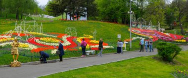 People walking in the city park and looking at bright tulips planted on a lawn. Opening the Festival of tulips Around the World , Singing Field park. April 27, 2018. Kiev, Ukraine