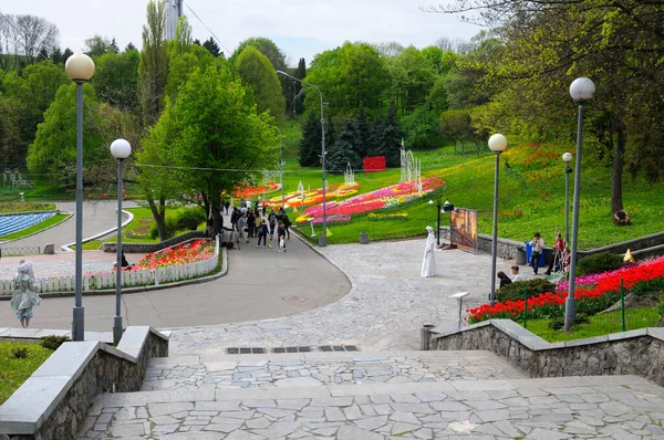 Şehir parkında yürüyen ve çimlere dikilmiş parlak lalelere bakan insanlar. Dünyanın dört bir yanındaki laleler festivalinin açılışı, Şarkı Söyleyen Saha Parkı. 27 Nisan 2018. Kiev, Ukrayna