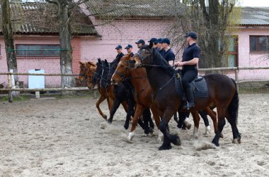 Manege 'de atlı polis ekibi ata biniyor. 12 Haziran 2018. Kiev, Ukrayna