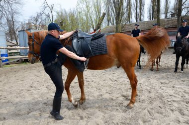 Polis eğitmeni, yelenin etrafında bir süvariyle ata liderlik ediyor. Kiev Emniyet Müdürlüğü 'nün düzenlediği kitle iletişim araçları gösterisi. 12 Haziran 2018. Kiev, Ukrayna