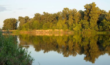 Evening view of Desna river, riverside and forest, reflections of trees on the water. Site near Mena, Ukraine.