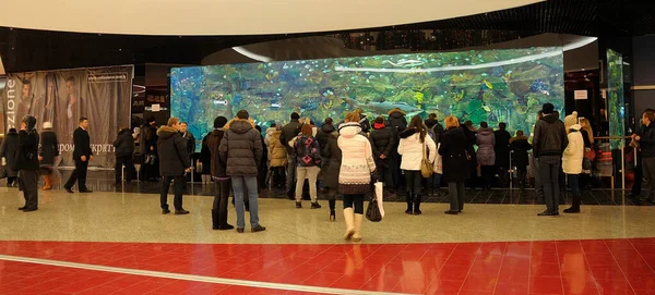 Crowd People Visitors Gathered Looking Aquarium Fishes Set Hall Shopping — 图库照片