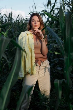 Beyaz ceketli güzel bir model kız mısır tarlasının çalılıklarında poz veriyor, saplarını elleriyle tutuyor. Güzellik ve moda.
