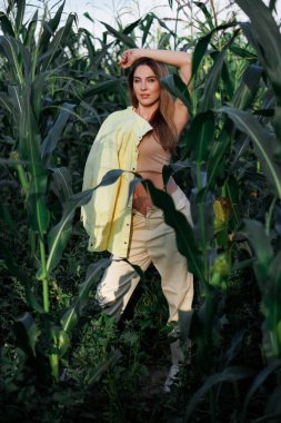 Beyaz ceketli güzel bir model kız mısır tarlasının çalılıklarında poz veriyor, saplarını elleriyle tutuyor. Güzellik ve moda.
