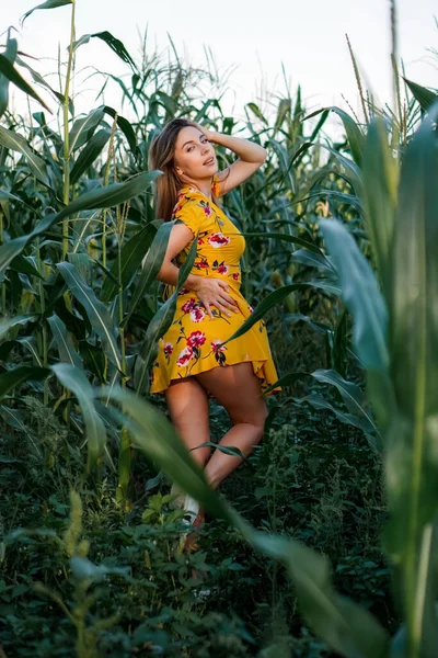 Krásná modelka ve žlutých šatech kráčí a pózuje v houštinách kukuřičného pole, drží stébla rukama. Krása a móda. — Stock fotografie
