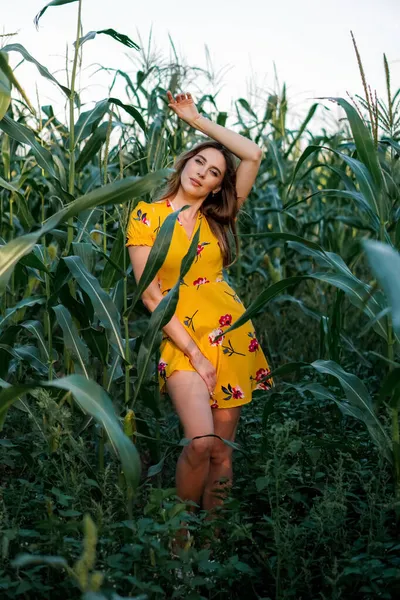 Krásná modelka ve žlutých šatech kráčí a pózuje v houštinách kukuřičného pole, drží stébla rukama. Krása a móda. — Stock fotografie