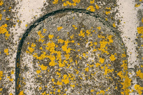 Vlek geel mos, schimmel op betonnen muur. Betonnen achtergrond. — Stockfoto