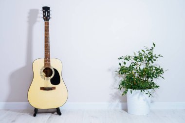 Gitar yeşil incirin yanında, ışık duvarının yanında. Metin için yer