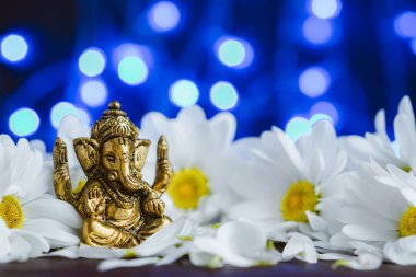 Altın Lord Ganesha papatya çiçekleri içinde mavi ışıklı arka planda. Lord Ganesha festivalini kutlayın.