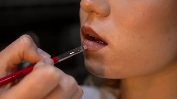 Brilho labial. Maquiagem artista usa escova para aplicar brilho labial para modelos de lábios. Fechar — Vídeo de Stock