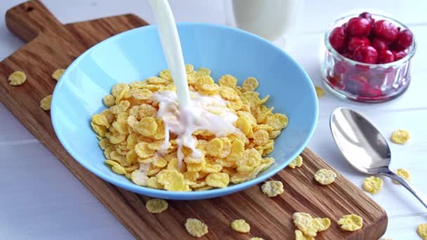 Menuang susu ke dalam mangkuk biru penuh sereal cornflakes renyah dalam gerakan lambat. Konsep sarapan yang sehat — Stok Video