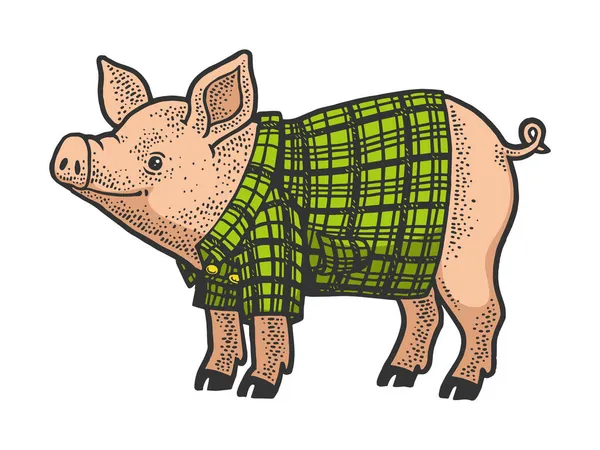 ( 영어 ) Pig in plaid shirt color sketbing vector illustration. 티셔츠 의류 인쇄 디자인. 스크래치 보드 모방. 손으로 그린 흑백 그림. — 스톡 벡터
