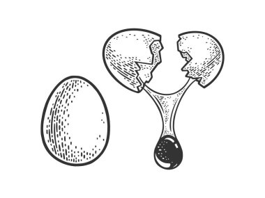 Egg whole and broken sketch engraving vector illustration. T-shirt apparel print design. Scratch board imitation. Black and white hand drawn image. vector Egg whole and broken sketch engraving vector illustration. T-shirt apparel print design. Scratch board imitation. Black and white hand drawn image. vector