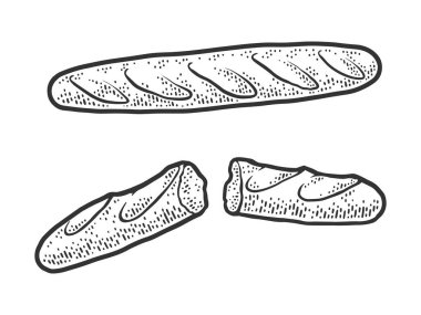 Fransız bageti çizim vektör çizimi