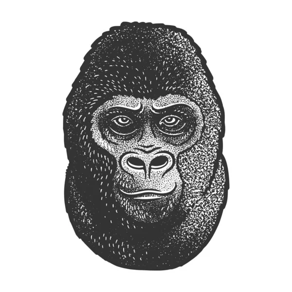 Goril baş taslak vektör çizimi — Stok Vektör