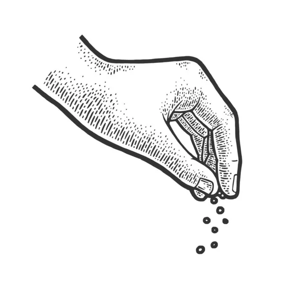 Ruční náčrt soli rytiny vektorové ilustrace. Design trička s potiskem. Stírací deska imitace. Černobílý ručně kreslený obrázek. — Stockový vektor
