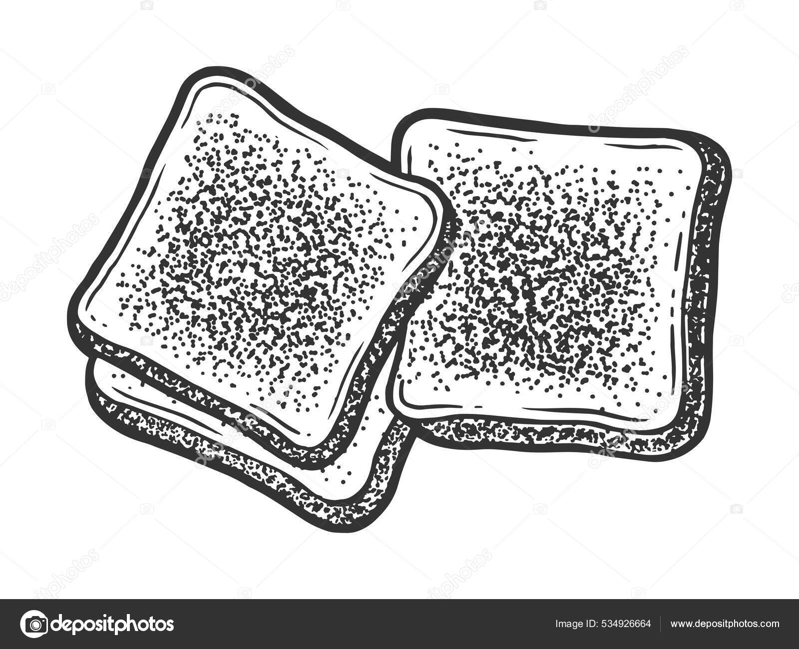 토스터 빵 스케치, 벡터 일러스트레이션. 티셔츠 의류 인쇄 디자인. 작은 게시판 모방. 손으로 그린 흑백 그림. 스톡 벡터 -  ©AlexanderPokusay 534926664, image size:1600x1300