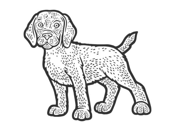 Cachorro cão esboço gravura vetor ilustração. T-shirt design de impressão de vestuário. Imitação de raspadinha. Imagem desenhada à mão preto e branco. —  Vetores de Stock