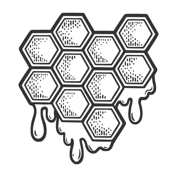 Panal con ilustración de vector de boceto de miel — Vector de stock