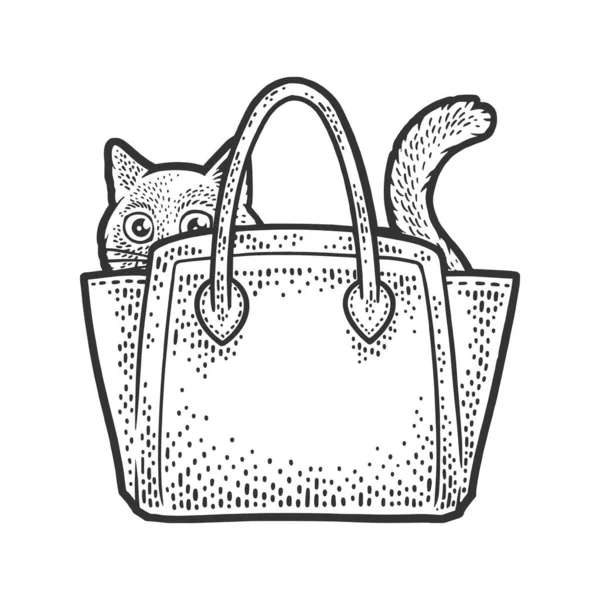 Кіт у жіночій сумці ескіз Векторні ілюстрації — стоковий вектор