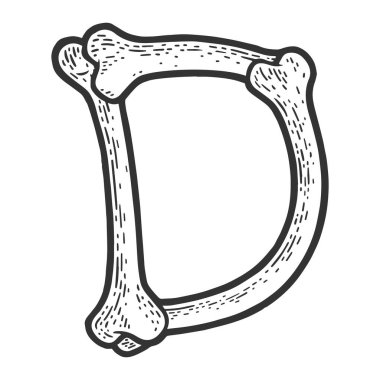 letter D made of bones sketch raster illustration