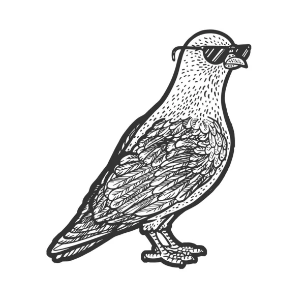 Dove in sunglasses sketch raster illustration — Stock Photo, Image