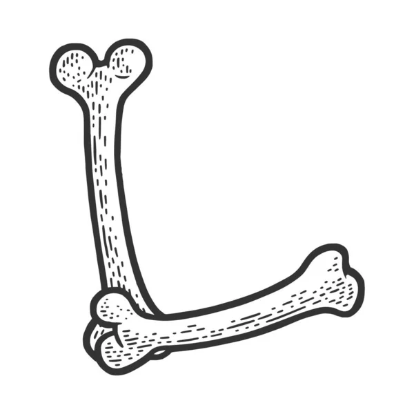 Buchstabe L aus Knochen Skizze Vektorillustration — Stockvektor