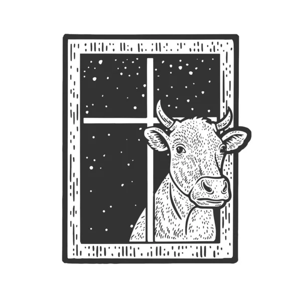 Векторный рисунок коровы, выглядывающей из окна — стоковый вектор