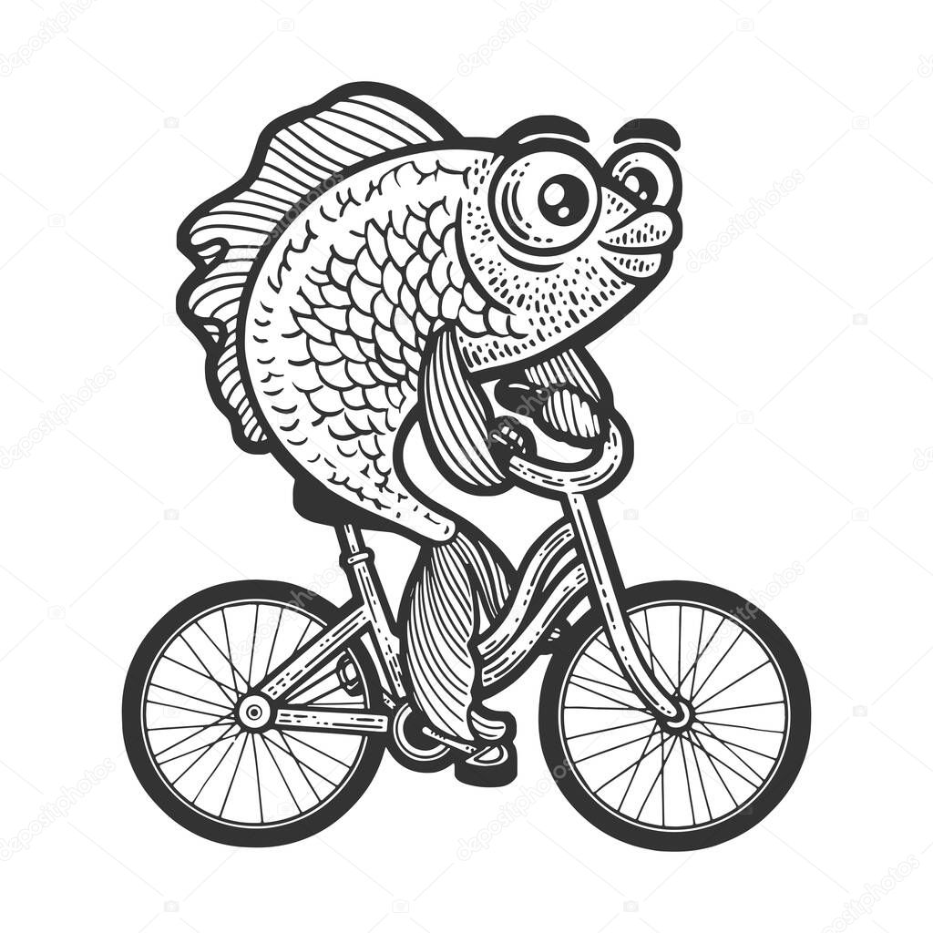 Cartoon fish on bicycle sketch vector illustration