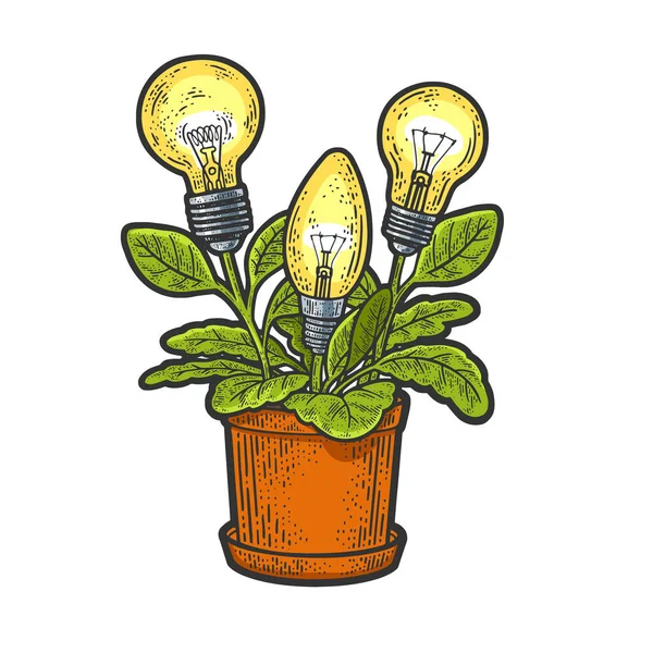 Ampoule plante couleur croquis raster illustration — Photo