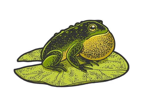 Пухнастий жаба кольоровий ескіз Векторні ілюстрації — стоковий вектор
