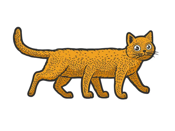 Seis patas gato color boceto vector ilustración — Archivo Imágenes Vectoriales