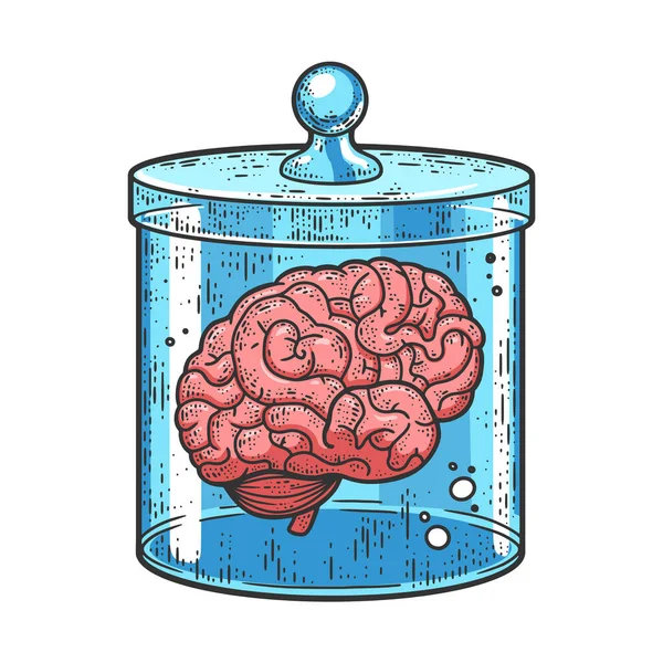 Cerebro humano tarro color bosquejo vector ilustración — Archivo Imágenes Vectoriales