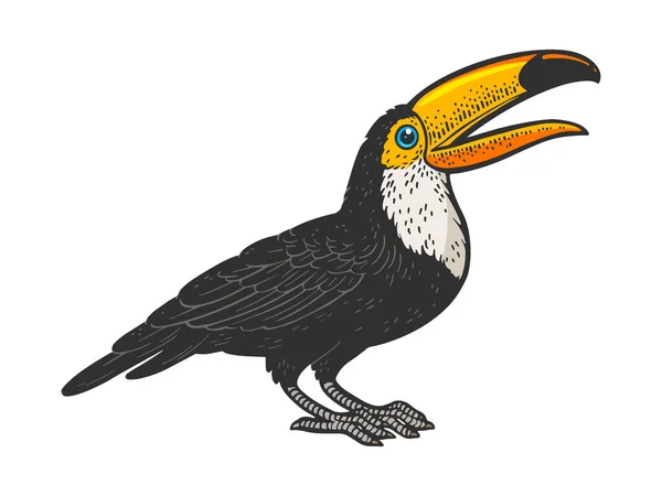 Toucan oiseau ligne art couleur croquis vecteur — Image vectorielle