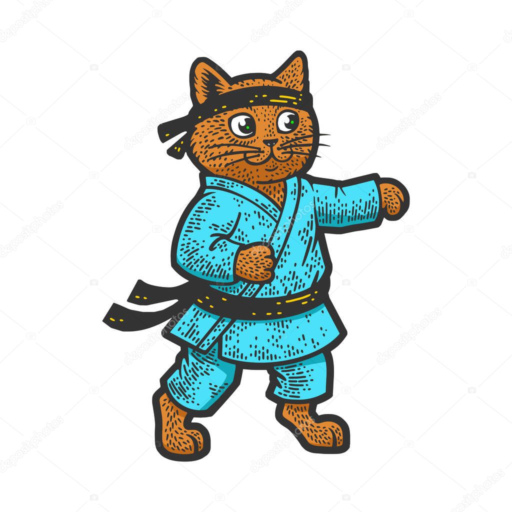 karate cat color sketch vector illustration