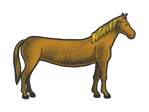 Long horse color sketch vector illustration — Stockvektor