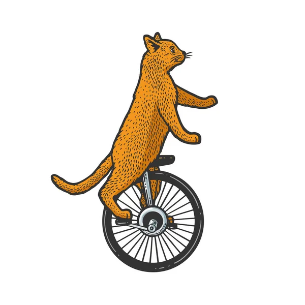 Illustration raster croquis couleur chat monocycle — Photo