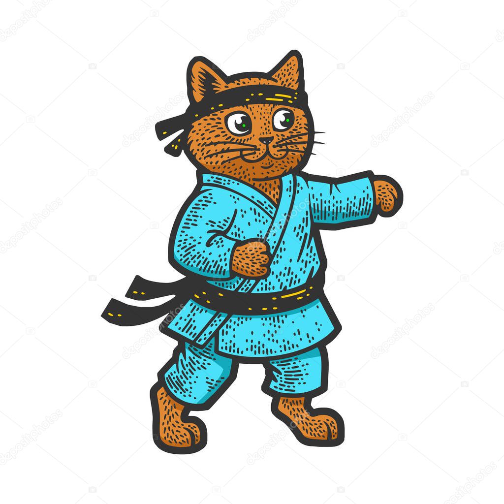 karate cat color sketch raster illustration