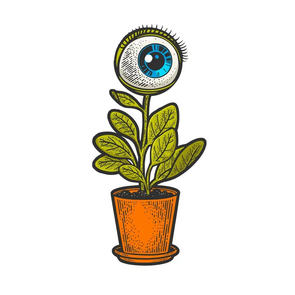 Olho humano planta cor esboço vetor ilustração —  Vetores de Stock