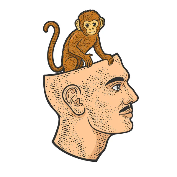 猿は人間の頭の色のスケッチベクトルに座って — ストックベクタ